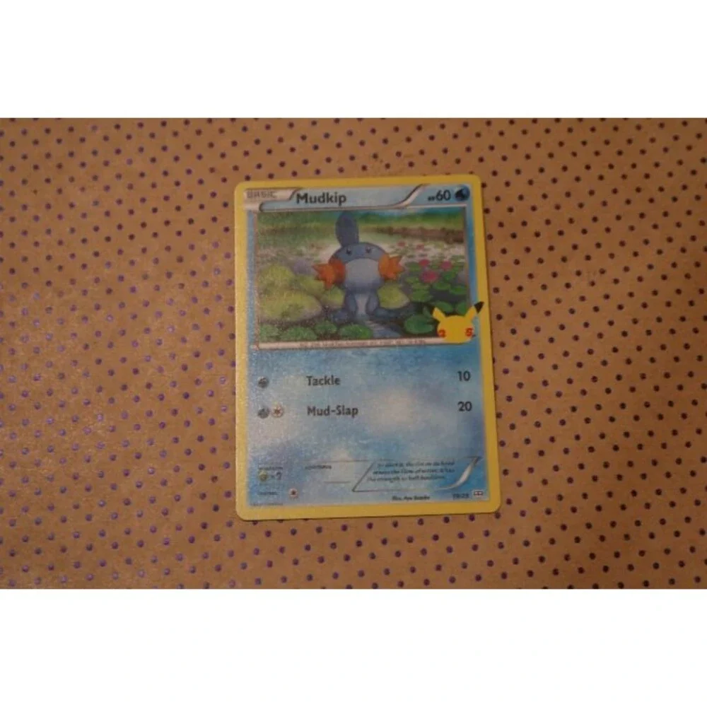 Mudkip 19/25 Pokemon Card (2021)